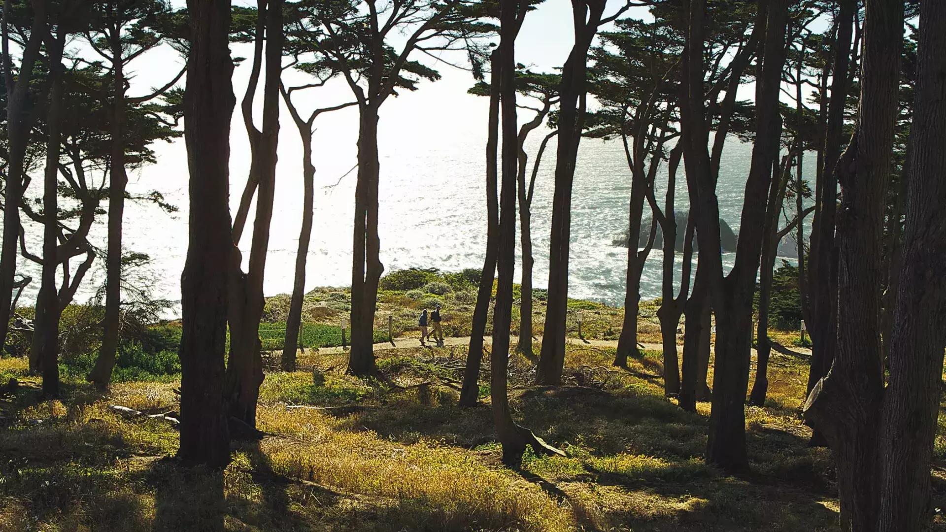 徒步旅行者沿着土地尽头小径的一段树木繁茂的路段行走, 以太平洋为背景.