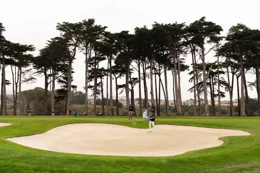 Jogadores de golfe em uma caixa de areia no campo de golfe TPC Harding Park, 在贝博体彩app, 加州.